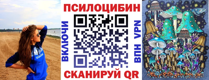 площадка состав  Чапаевск  Псилоцибиновые грибы мицелий 