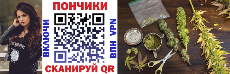 мега как зайти Чапаевск Канабис ГИДРОПОН